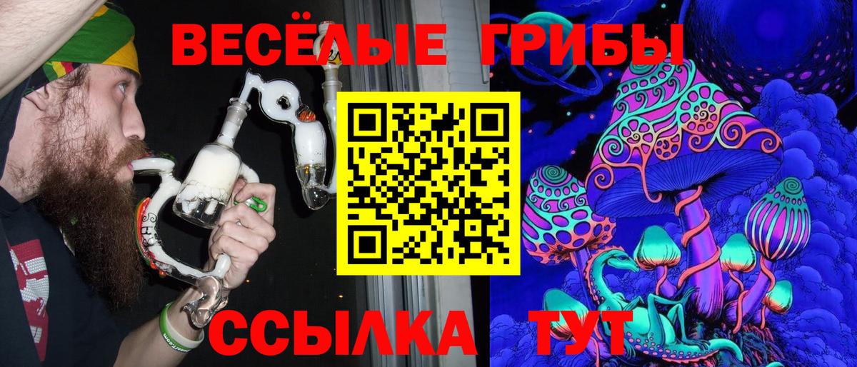 Псилоцибиновые грибы прущие грибы Вышний Волочёк